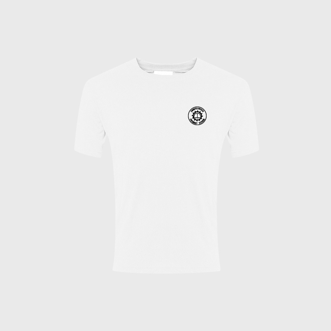 Cwmfelinfach P.E Top