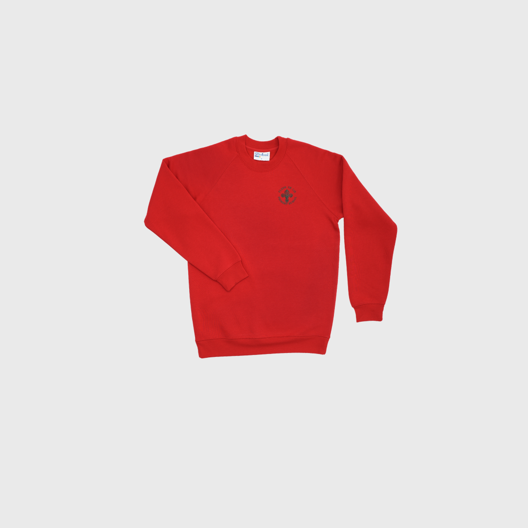 Fleur De Lis Primary School Jumper