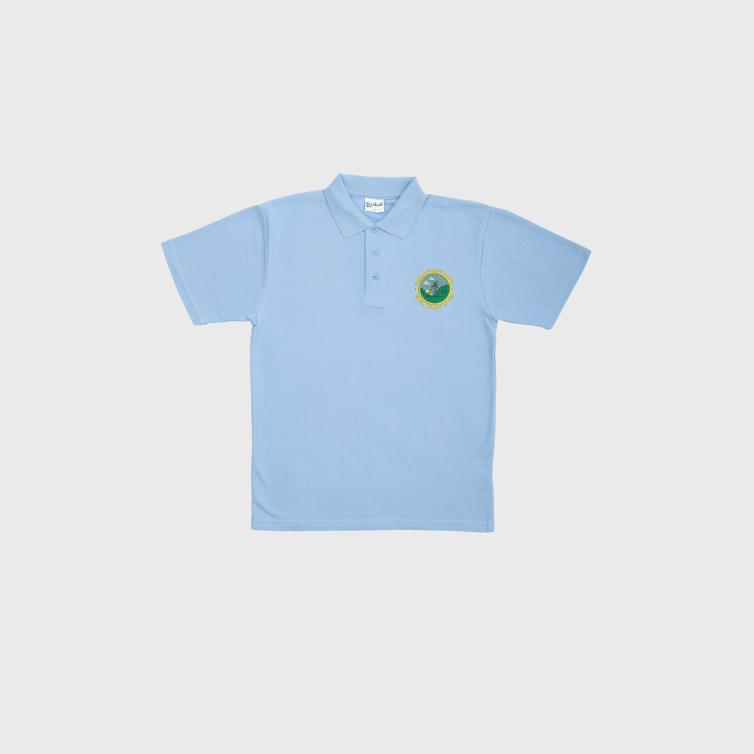Ynysddu Polo