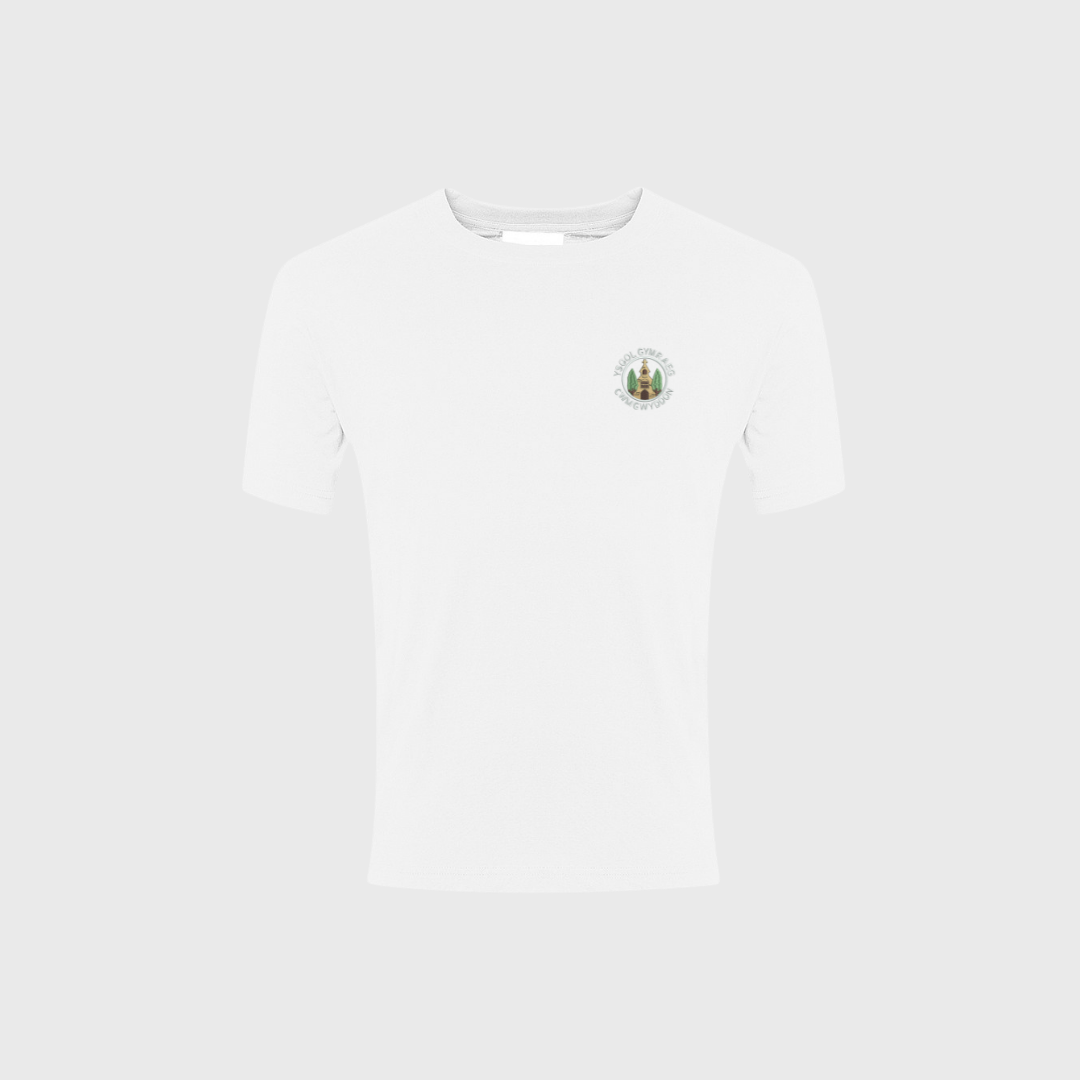 Cwm Gwyddon P.E Top