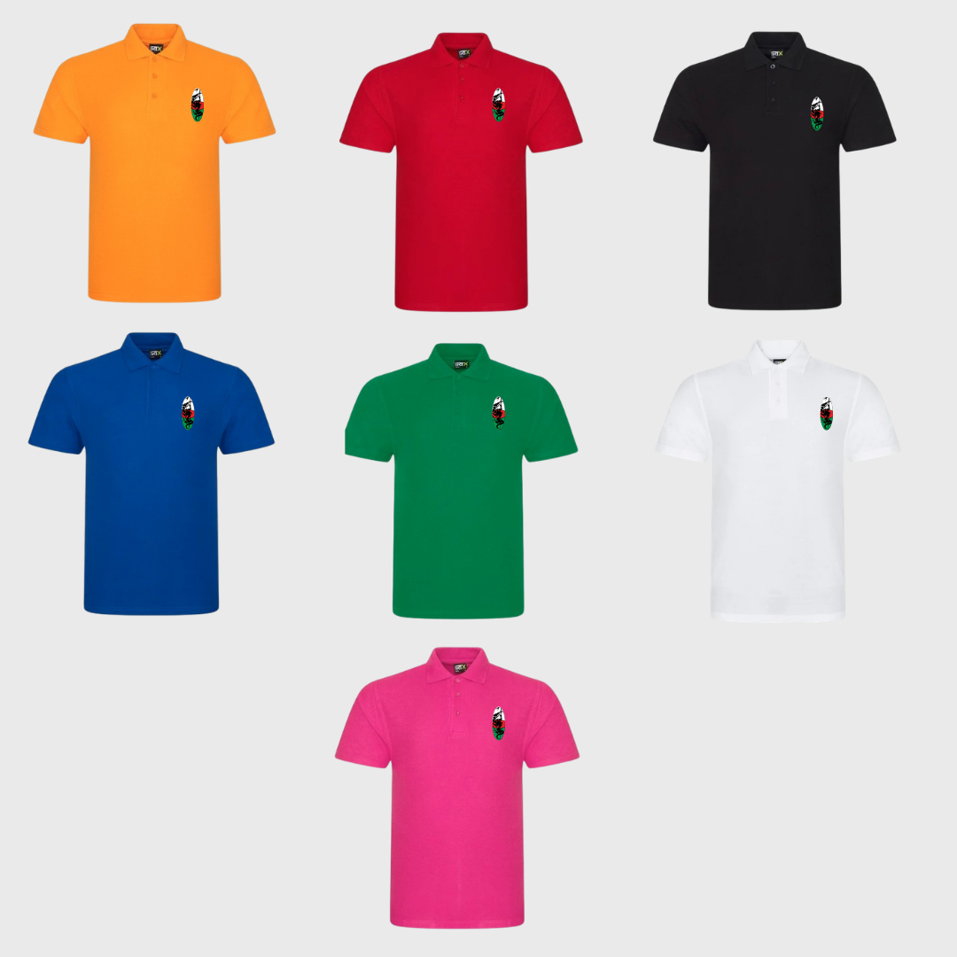 Gwent Sword Fencing - Polo